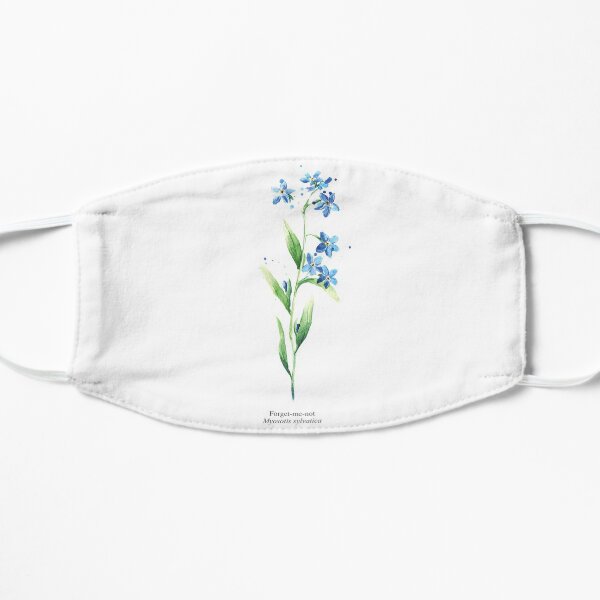 Forget-Me-Not - Myosotis Sylvatica Mask