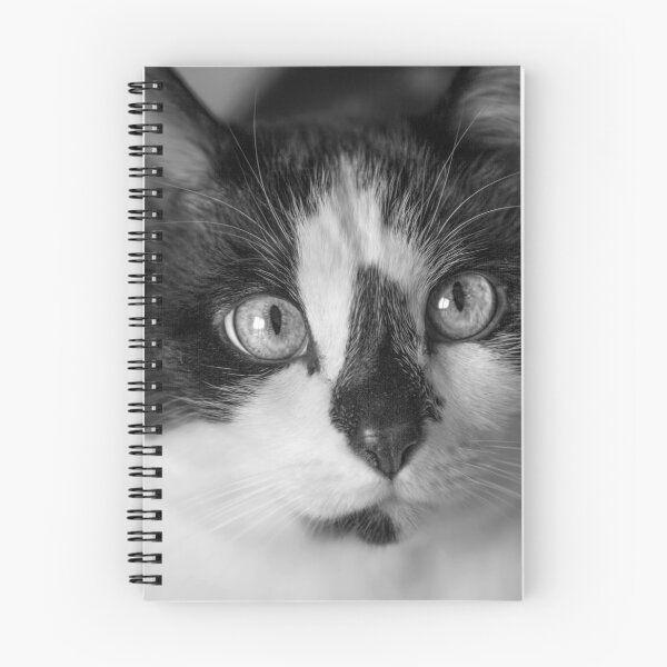 Item preview, Cherished Snowshoe Cat BW designed and sold by Elisabeth Lucas.