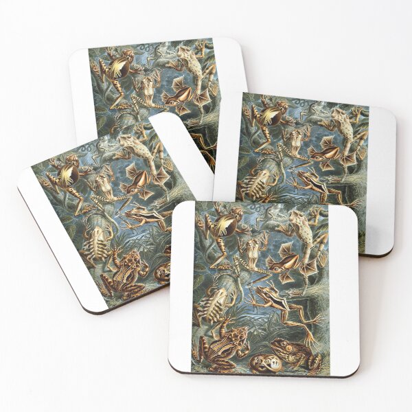 Item preview, Haeckel Frogs designed and sold by honeyblack.