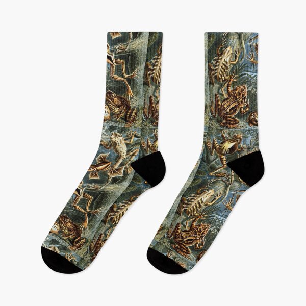 Item preview, Haeckel Frogs designed and sold by honeyblack.
