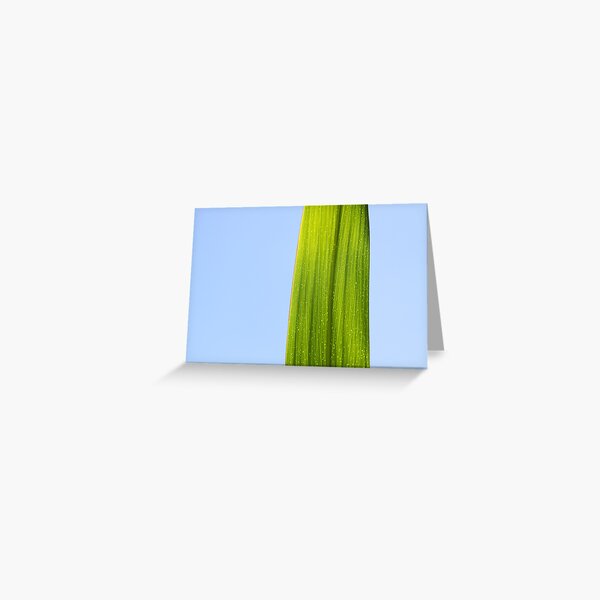 Zen Moment Greeting Card