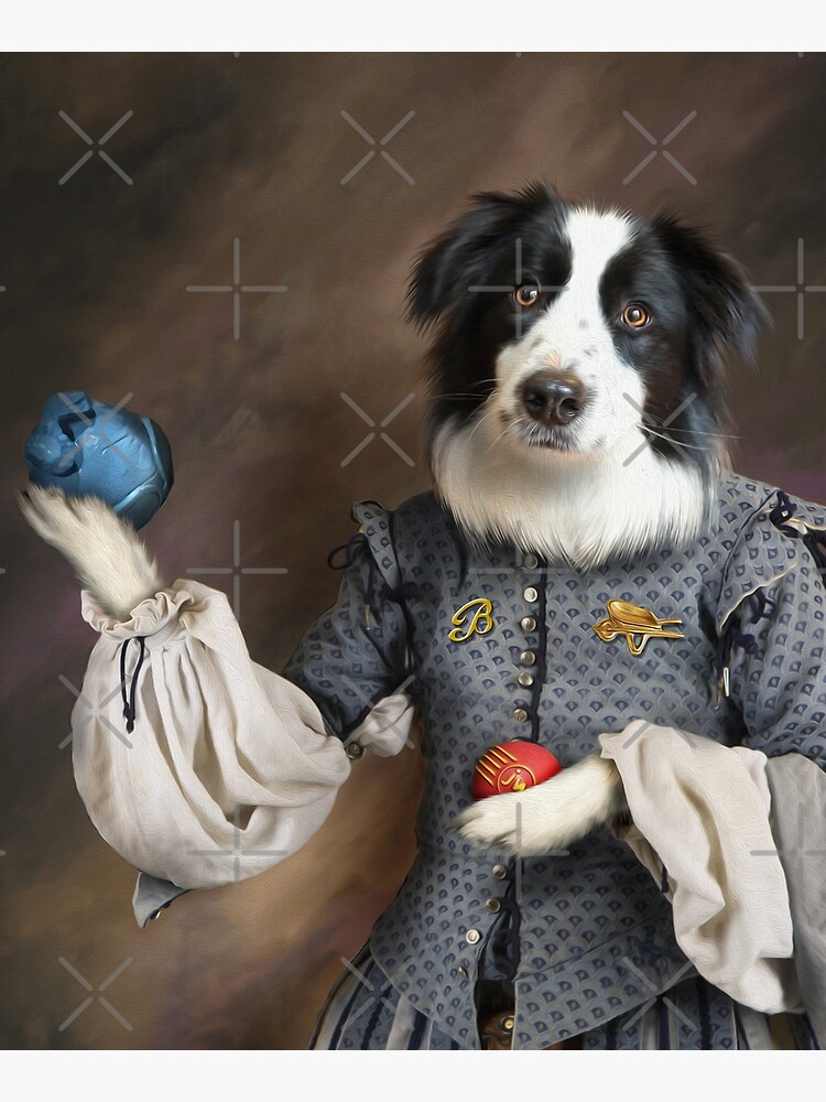 Border Collie - Franklin's Toys