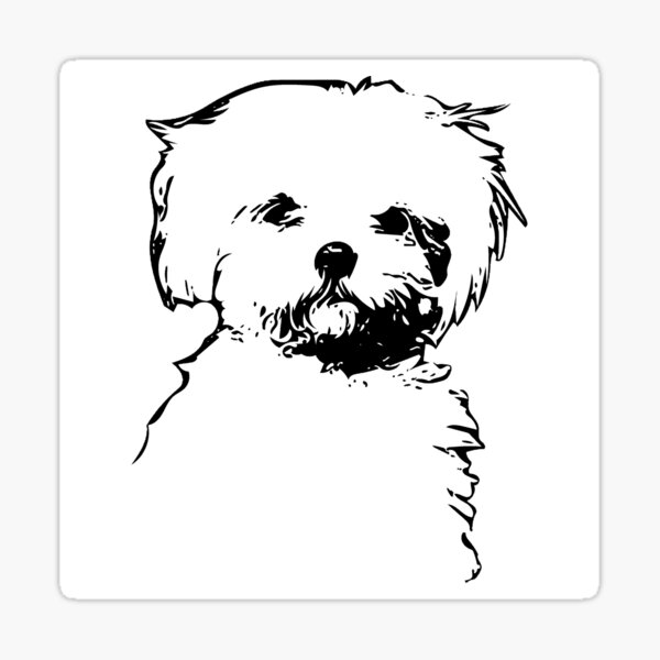 Retriever Rottweiler Havanese Sheepdog Men er Beach Boardshorts