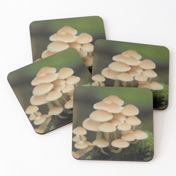 Item preview, Fungi  designed and sold by HogarthArts.