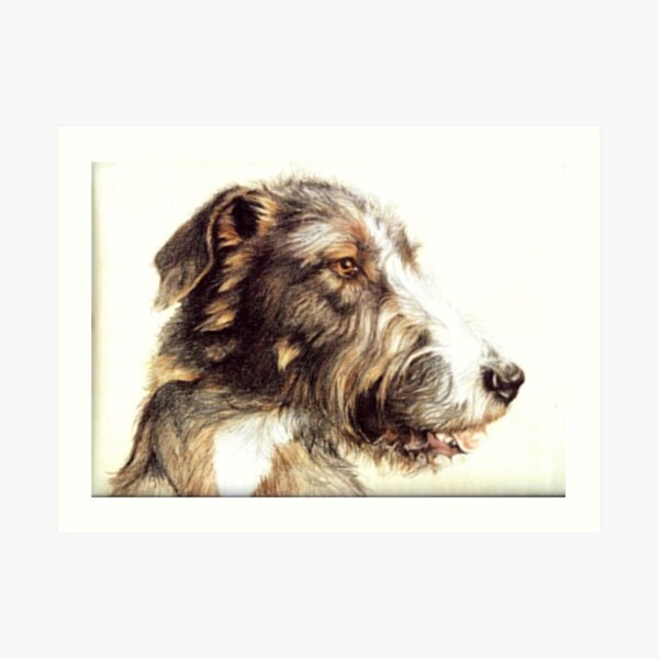 Wolfhound Art Print