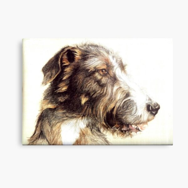 Wolfhound Metal Print