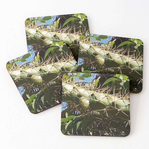 Item preview, Prickly Pear Cactus  designed and sold by Naomi80.