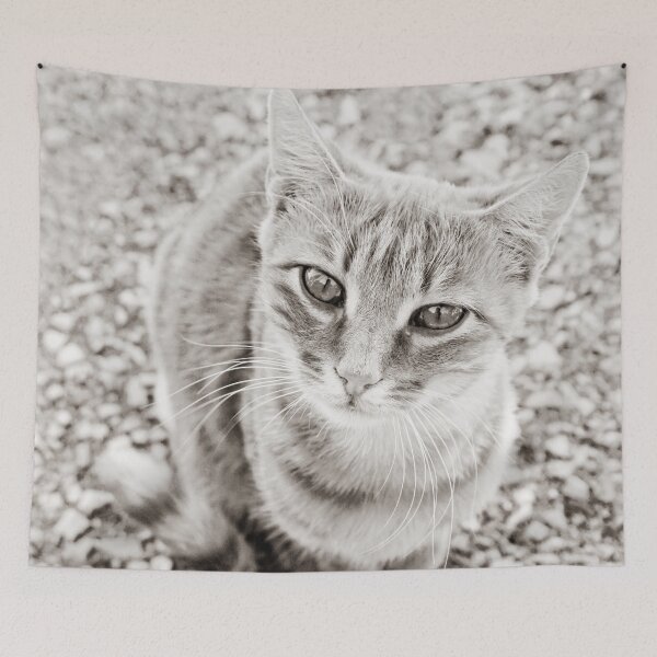Item preview, I want treats! designed and sold by MarionsArt.