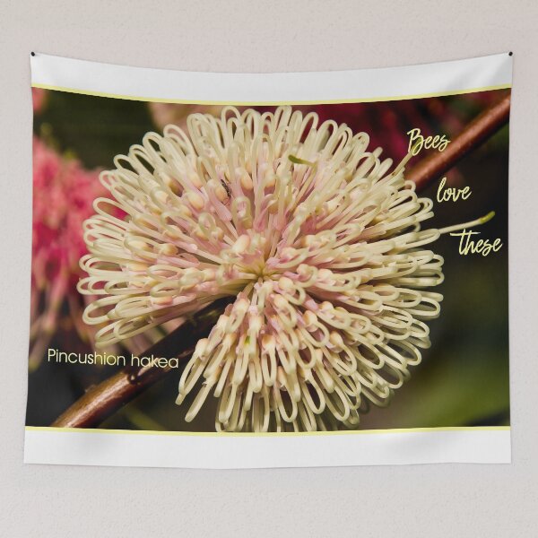 Item preview, Pincushion hakea designed and sold by Ian McKenzie.