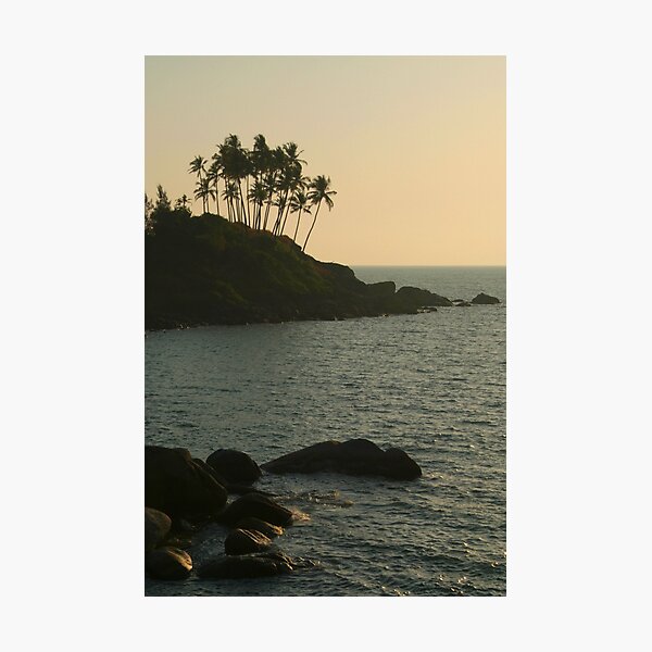 Item preview, Palm Trees on the Point Palolem designed and sold by SerenaB.