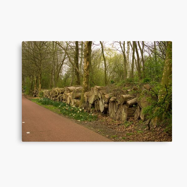 Wooded banks - the ReedCorner Canvas Print