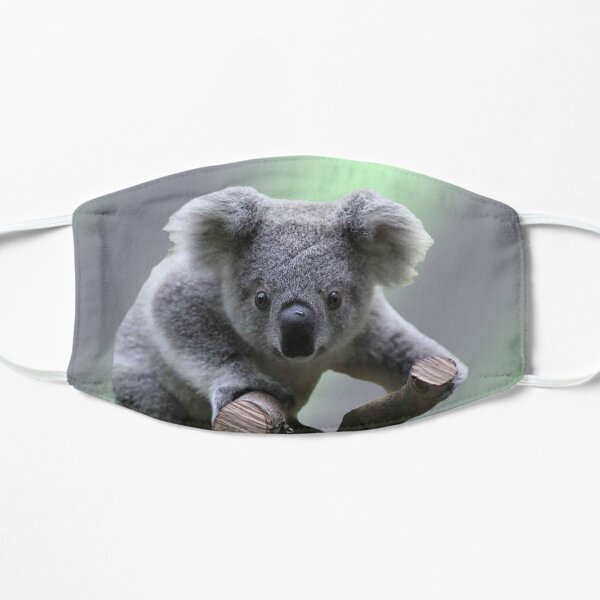 Koala Bear Flat Mask