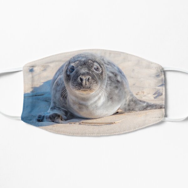 Grey Seal Pup on a Beach with Sweet Eyes Mask