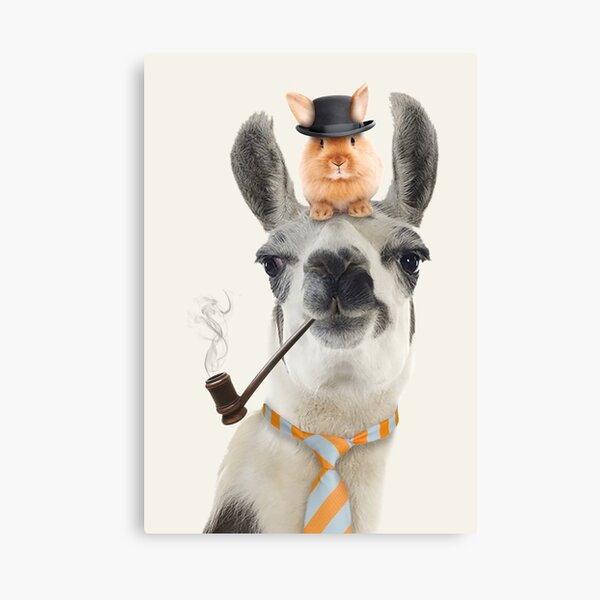 Daddy Cool Lama Canvas Print