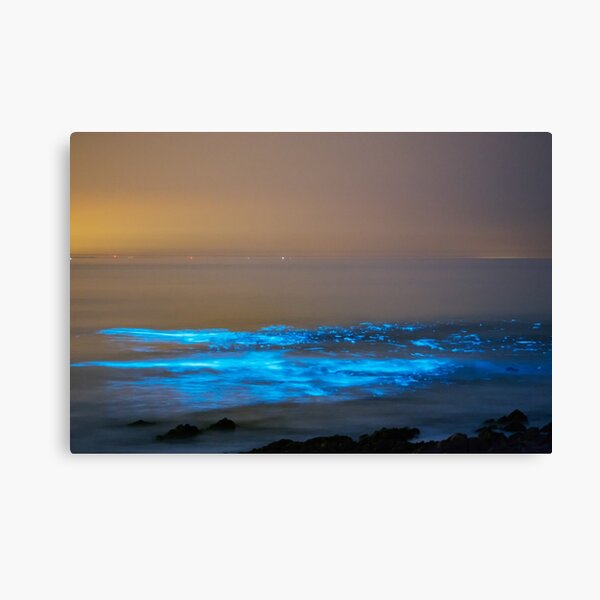 Item preview, Bioluminescent plankton, Port Eynon Bay, Gower designed and sold by Dan Santillo.