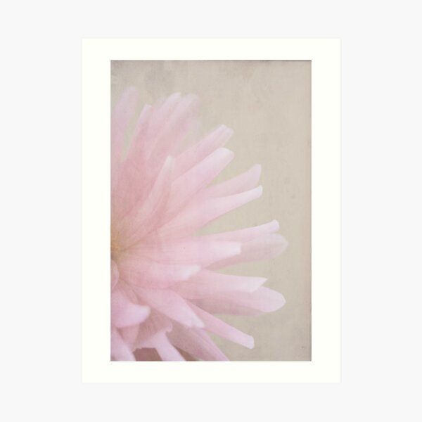 I believe in pink. Art Print
