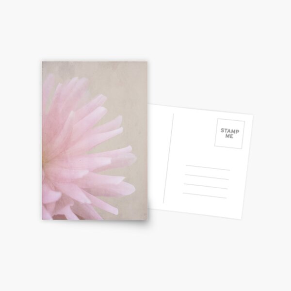 I believe in pink. Postcard