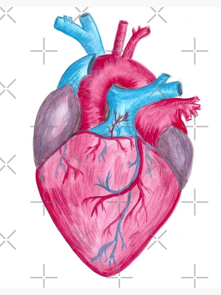 Easy, Cute, Love Human Heart Drawing - Take Out Drawing