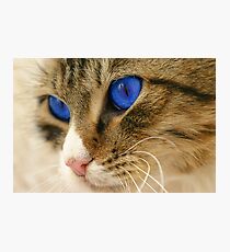 Arrakis Photographic Print