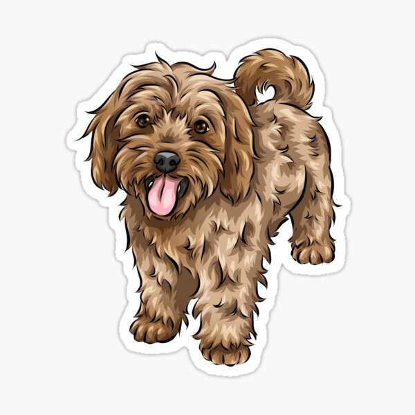 "Cute Cavapoo Cute Dog Art" Sticker for Sale by shirinsart Redbubble