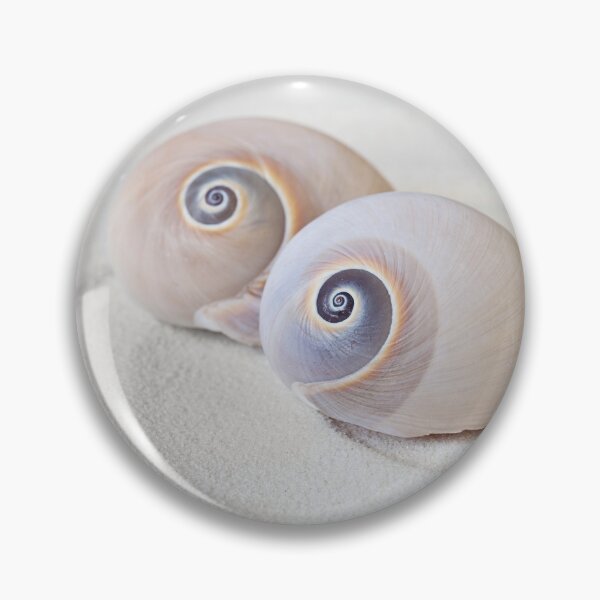Item preview, Shark's eye Shell Zen Still Life designed and sold by artsandsoul.