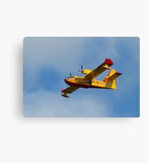 Water Bomber Leinwanddruck