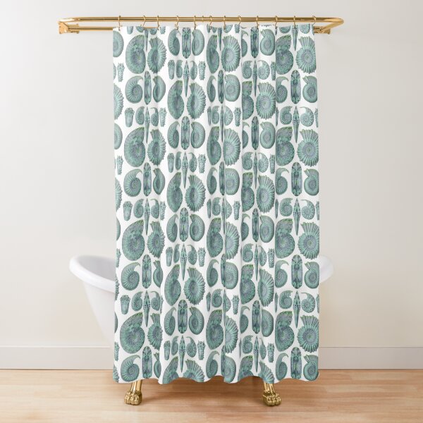 Ernst Haeckel Ammonitida Ammonite Sea Glass Shower Curtain