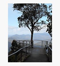 Tree with a view Photographic Print