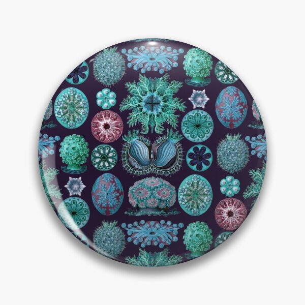Item preview, Ernst Haeckel Ascidiae Sea Squirts Teal Colorway designed and sold by aimeewilson.