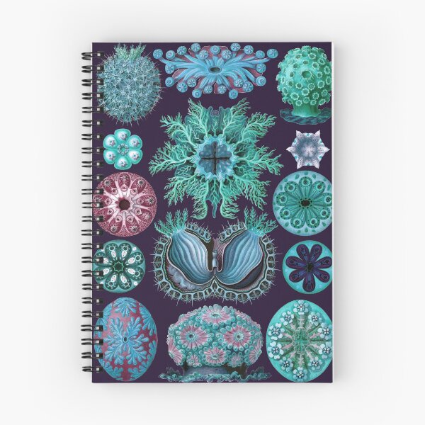 Item preview, Ernst Haeckel Ascidiae Sea Squirts Teal Colorway designed and sold by aimeewilson.