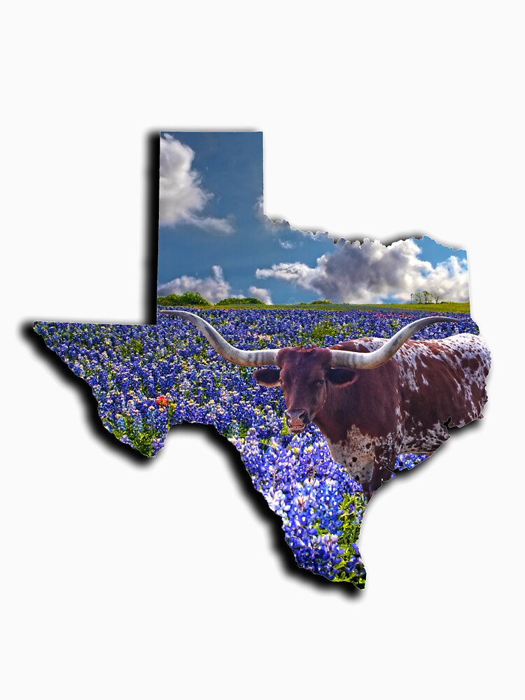 Thumbnail 7 of 7, Classic T-Shirt, Lone Star Pride - State of Texas Shape a Longhorn in a Field of Bluebonnets designed and sold by Warren Paul Harris.