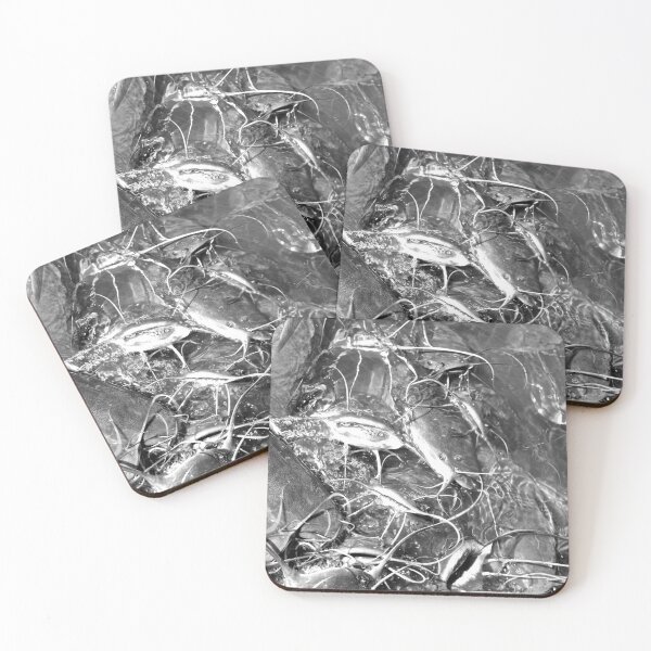 Item preview, 1000 Cat Fish Feeding Frenzy Funny Fishing Photo designed and sold by Peshi FPV.