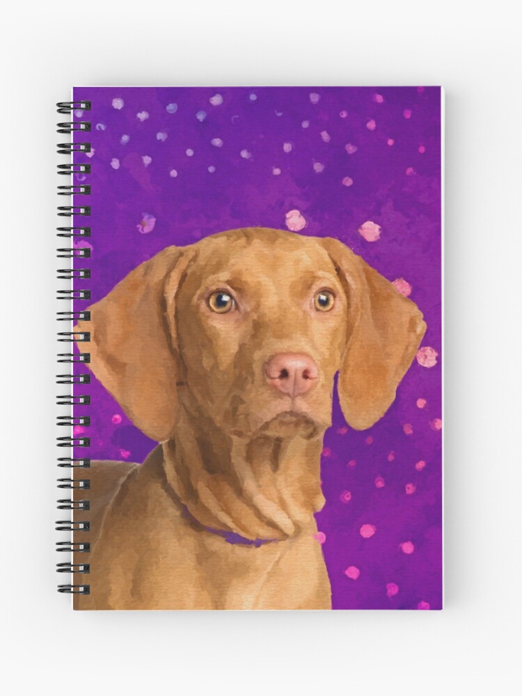 vizsla pointer