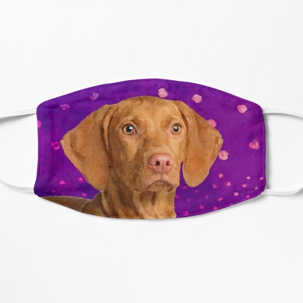 back seat dog cover