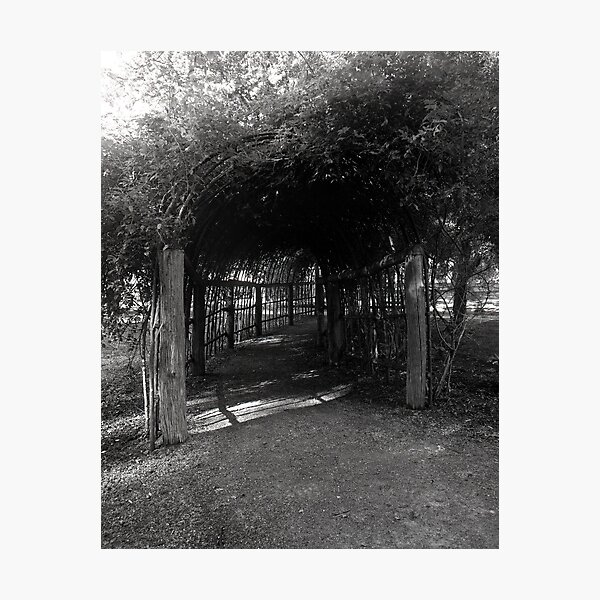"Lurking Beyond" ∞ Port Arthur, Tasmania - Australia Photographic Print