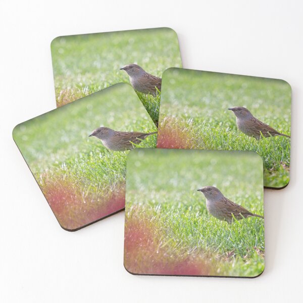 Item preview, House Sparrow (Passer domesticus) designed and sold by Rob Cole Photography.