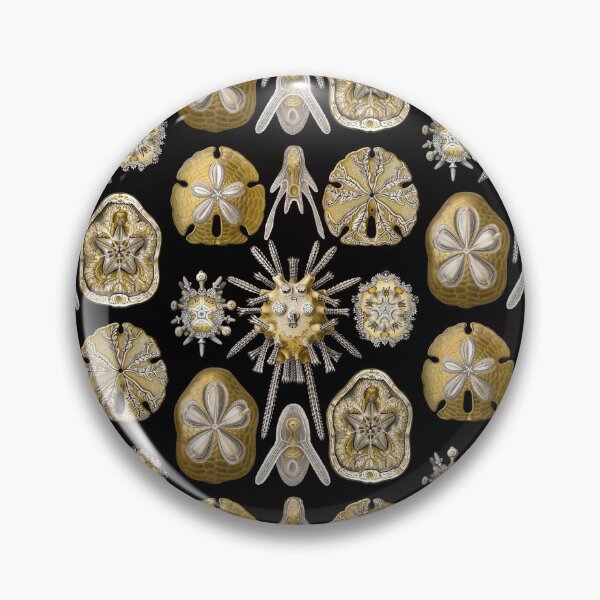 Item preview, Ernst Haeckel Echinidea Sea Urchin designed and sold by aimeewilson.