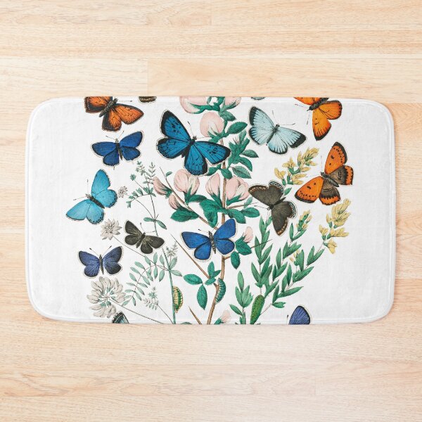 Item preview, Vintage butterfly scientific plate (no labels) designed and sold by Flamin' Galah.