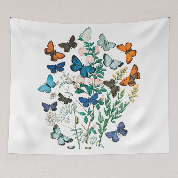 Item preview, Vintage butterfly scientific plate (no labels) designed and sold by Flamin' Galah.