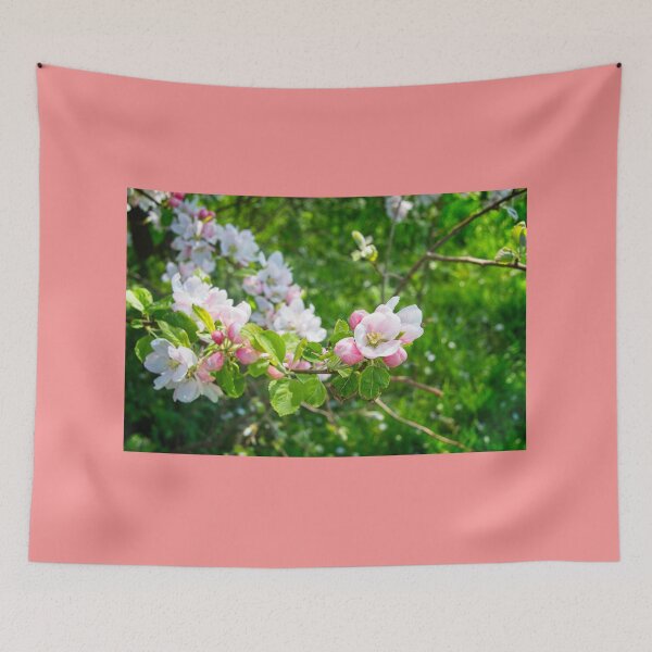 Item preview, Beautiful Spring Blossom designed and sold by Rob Cole Photography.