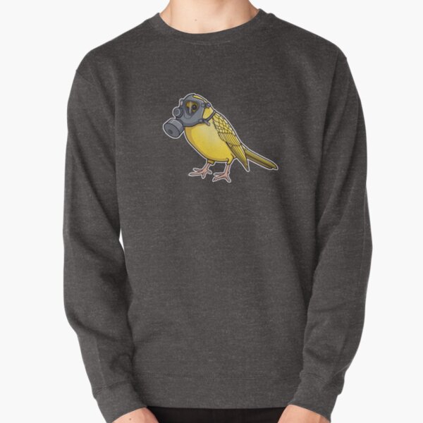 The Birds Aren't Singing Pullover Sweatshirt
