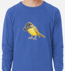 Die Vögel singen nicht Leichter Pullover