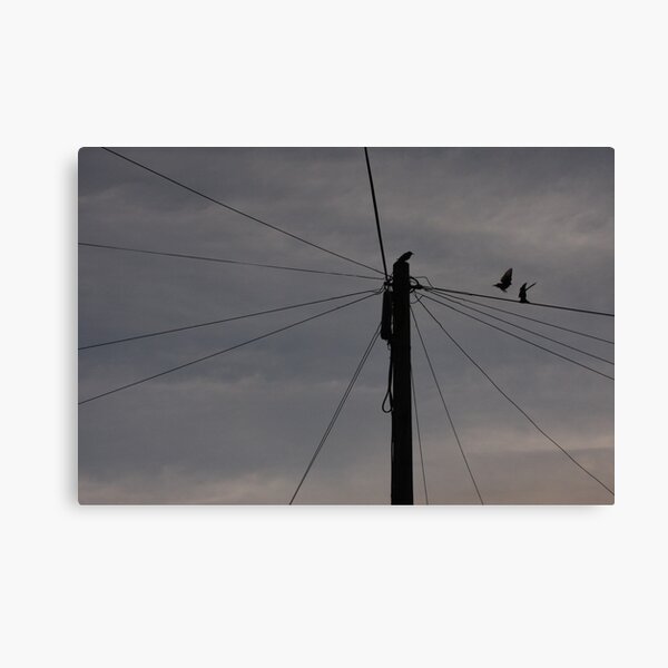Item preview, Birds on a wire designed and sold by Jennifer Maggs.