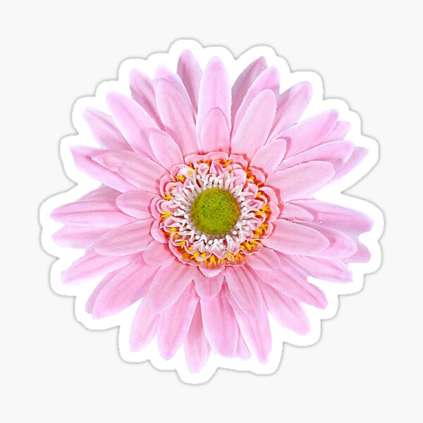 Pink Flower Sticker