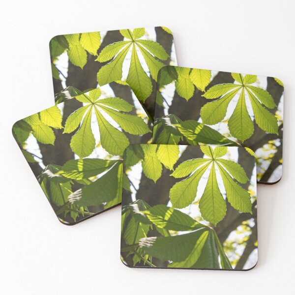 Item preview, Horse-chestnut Leaves in Spring designed and sold by Rob Cole Photography.