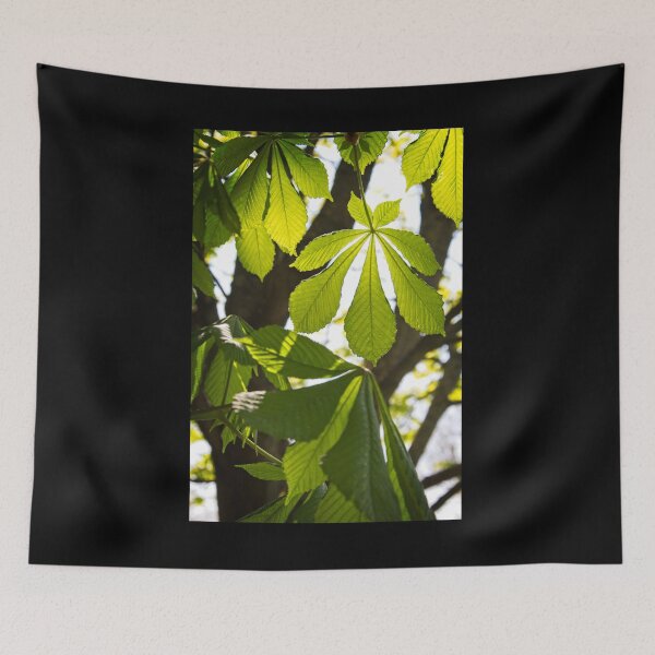 Item preview, Horse-chestnut Leaves in Spring designed and sold by Rob Cole Photography.