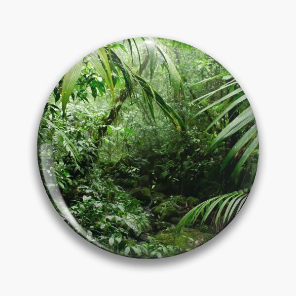 Artikelvorschau, Misty Rainforest Creek entworfen und verkauft von Nicklas81.