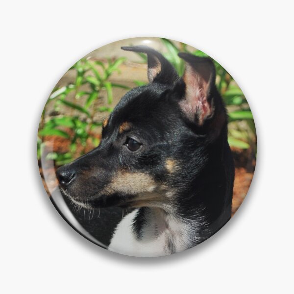 Item preview, A Dog And Her Hoof designed and sold by TwoSmallPtatoes.
