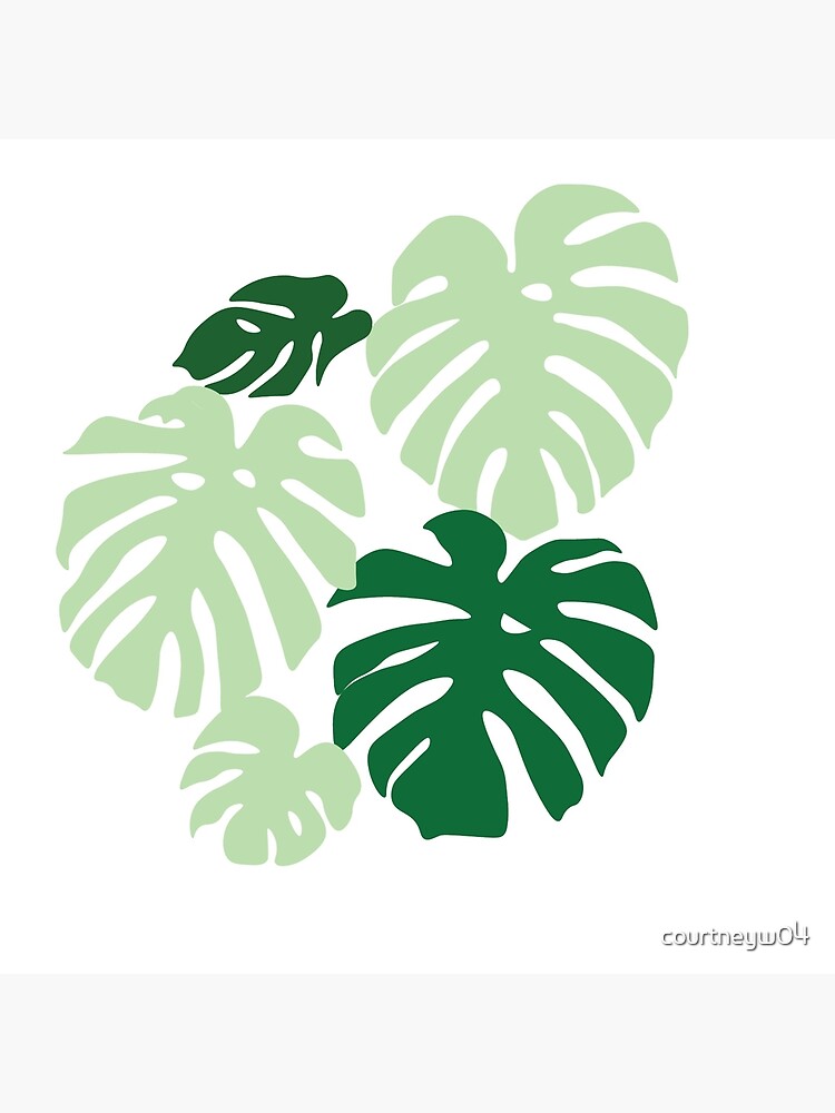 Lámina rígida «Hojas de palma verde pastel» de courtneyw04 | Redbubble