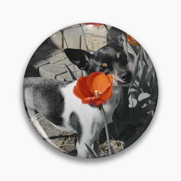 Item preview, Touille the Terrier absorbe la primavera designed and sold by TwoSmallPtatoes.